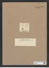 Stictodiscus sp. (de-Toni-Nr.: Genus 205) Zeichnungen Sammlung Grunow Nr. 9066 (NHMW-BOT-W0378813)